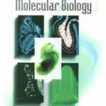 خرید و دانلود نسخه کامل کتاب Advanced Molecular Biology A Concise Reference