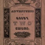 خرید و دانلود نسخه کامل کتاب Adventures of Goody Two Shoes Albany Edition