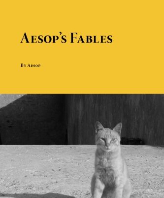 خرید و دانلود نسخه کامل کتاب Aesop’s Fables