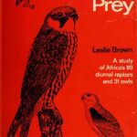 خرید و دانلود نسخه کامل کتاب African Birds of Prey