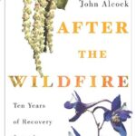 خرید و دانلود نسخه کامل کتاب After the Wildfire: Ten Years of Recovery from the Willow Fire