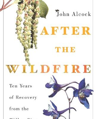 خرید و دانلود نسخه کامل کتاب After the Wildfire: Ten Years of Recovery from the Willow Fire