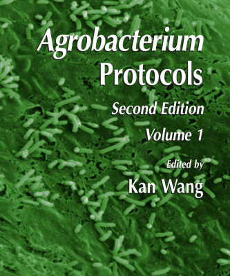 خرید و دانلود نسخه کامل کتاب Agrobacterium Protocols, Second Edition: Volume I (Methods in Molecular Biology Vol 343)