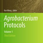 خرید و دانلود نسخه کامل کتاب Agrobacterium Protocols: Volume 1