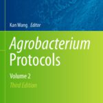 خرید و دانلود نسخه کامل کتاب Agrobacterium Protocols: Volume 2