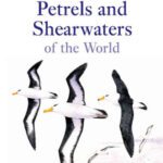 خرید و دانلود نسخه کامل کتاب Albatrosses Petrels & Shearwaters of the World