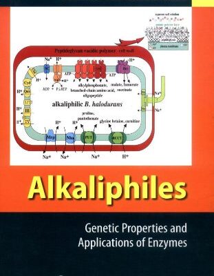 خرید و دانلود نسخه کامل کتاب Alkaliphiles: Genetic Properties and Applications of Enzymes