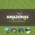 خرید و دانلود نسخه کامل کتاب Amazonas (Perú) y su biodiversidad
