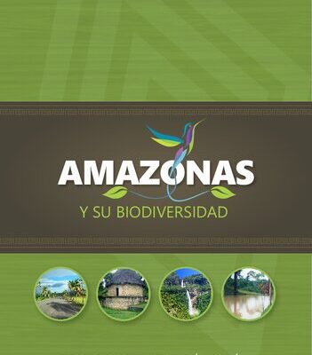 خرید و دانلود نسخه کامل کتاب Amazonas (Perú) y su biodiversidad