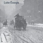 خرید و دانلود نسخه کامل کتاب American Literary Naturalism: Late Essays