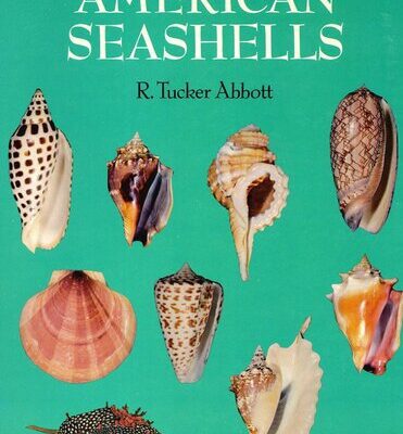 خرید و دانلود نسخه کامل کتاب American Seashells