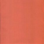 خرید و دانلود نسخه کامل کتاب American Yiddish Poetry: A Bilingual Anthology