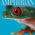 خرید و دانلود نسخه کامل کتاب Amphibian (DK Eyewitness Books)