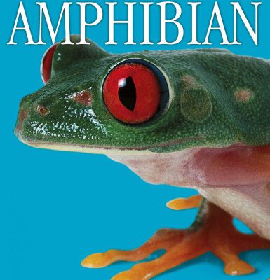 خرید و دانلود نسخه کامل کتاب Amphibian (DK Eyewitness Books)
