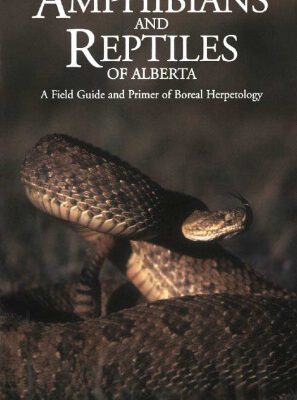 خرید و دانلود نسخه کامل کتاب Amphibians and Reptiles of Alberta: A Field Guide and Primer of Boreal Herpetology