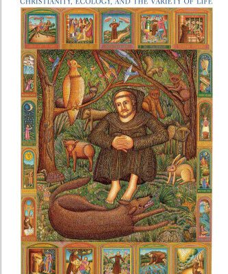 خرید و دانلود نسخه کامل کتاب An Ethics of Biodiversity: Christianity, Ecology, and the Variety of Life
