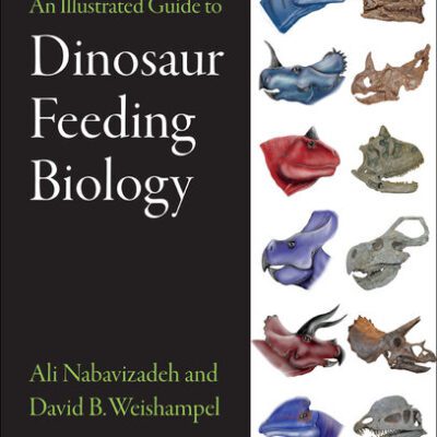 خرید و دانلود نسخه کامل کتاب An Illustrated Guide to Dinosaur Feeding Biology