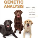 خرید و دانلود نسخه کامل کتاب An Introduction to Genetic Analysis