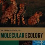 خرید و دانلود نسخه کامل کتاب An Introduction To Molecular Ecology