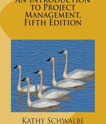 خرید و دانلود نسخه کامل کتاب An Introduction to Project Management. With a Brief Guide to Microsoft Project 2013