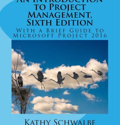 خرید و دانلود نسخه کامل کتاب An Introduction to Project Management With a Brief Guide to Microsoft Project 2016