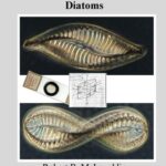 خرید و دانلود نسخه کامل کتاب An Introduction to the Microscopical Study of Diatoms