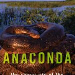 خرید و دانلود نسخه کامل کتاب Anaconda: The Secret Life of the World’s Largest Snake