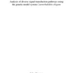 خرید و دانلود نسخه کامل کتاب analysis of diverse signal transduction pathways using the genetic model system caenorhabditis elegans celine moorman