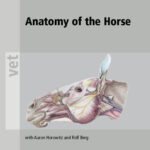 خرید و دانلود نسخه کامل کتاب Anatomy of the Horse (Vet (Schlutersche))