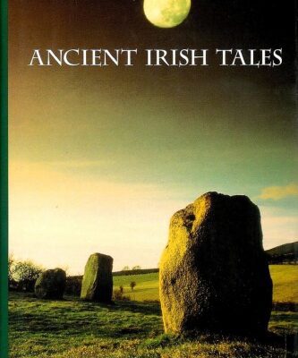 خرید و دانلود نسخه کامل کتاب Ancient Irish Tales