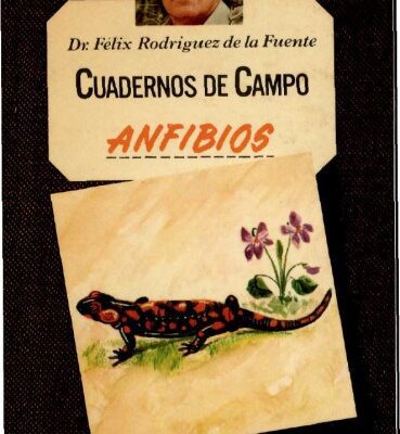 خرید و دانلود نسخه کامل کتاب Anfibios