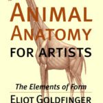 خرید و دانلود نسخه کامل کتاب Animal Anatomy for Artists: The Elements of Form