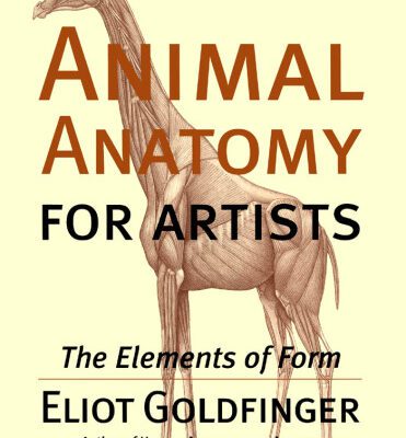 خرید و دانلود نسخه کامل کتاب Animal Anatomy for Artists: The Elements of Form