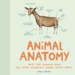 خرید و دانلود نسخه کامل کتاب Animal Anatomy: Sniff Tips, Running Sticks, and Other Accurately Named Animal Parts
