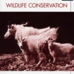 خرید و دانلود نسخه کامل کتاب Animal Behavior and Wildlife Conservation