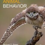 خرید و دانلود نسخه کامل کتاب Animal Behavior