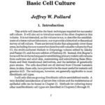 خرید و دانلود نسخه کامل کتاب Animal Cell Culture