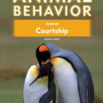 خرید و دانلود نسخه کامل کتاب Animal Courtship