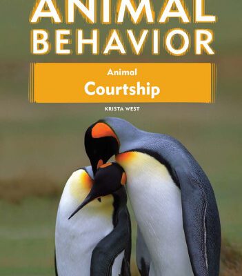 خرید و دانلود نسخه کامل کتاب Animal Courtship