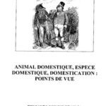 خرید و دانلود نسخه کامل کتاب Animal domestique, espèce domestique, domestication: points de vue