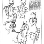 خرید و دانلود نسخه کامل کتاب Animal drawing