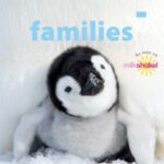 خرید و دانلود نسخه کامل کتاب Animal Families