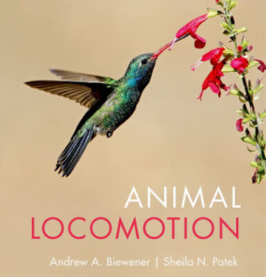 خرید و دانلود نسخه کامل کتاب Animal Locomotion