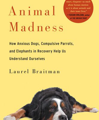 خرید و دانلود نسخه کامل کتاب Animal Madness: how anxious dogs, compulsive parrots, and elephants in recovery help us understand ourselves