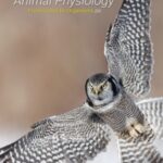 خرید و دانلود نسخه کامل کتاب Animal Physiology  From Genes to Organisms