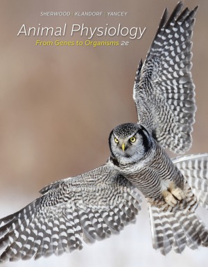 خرید و دانلود نسخه کامل کتاب Animal Physiology From Genes to Organisms