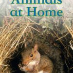 خرید و دانلود نسخه کامل کتاب Animals at Home (DK Readers Level 1)