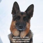 خرید و دانلود نسخه کامل کتاب Animals, Work, and the Promise of Interspecies Solidarity