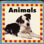 خرید و دانلود نسخه کامل کتاب Animals