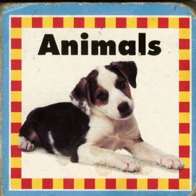 خرید و دانلود نسخه کامل کتاب Animals